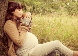 какие травы можно при беременности