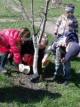 Экологическое воспитание в детском саду